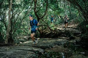 BIB: 
                            <button type="button" onclick="openModal(25862503)" class="btn btn-primary btn-sm float-right btn-popup" data-toggle="modal" data-target=".modal-high-quality">
                        <i class="fas fa-shopping-cart"></i> Add to Cart
                    </button>
                                            <button type="button" onclick="isThisMe(25862503, true)" class="btn btn-success btn-sm float-right btn-popup btn-isme hidden" data-toggle="tooltip" data-placement="bottom" title="นี่คือรูปของคุณใช่ไหม คลิกที่นี่เพื่อเอาเข้าอัลบั้ม">
                        <i class="fas fa-plus"></i> Add to album
                    </button>
                    <button type="button" onclick="isThisMe(25862503, false)" class="btn btn-warning btn-sm float-right btn-popup btn-isnotme hidden">
                        <i class="fas fa-ban"></i> Remove from album
                    </button>